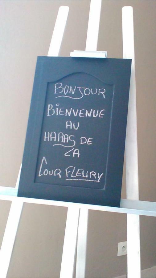 B&B Haras De La Cour Fleury Saint-Michel-de-Livet Exterior photo